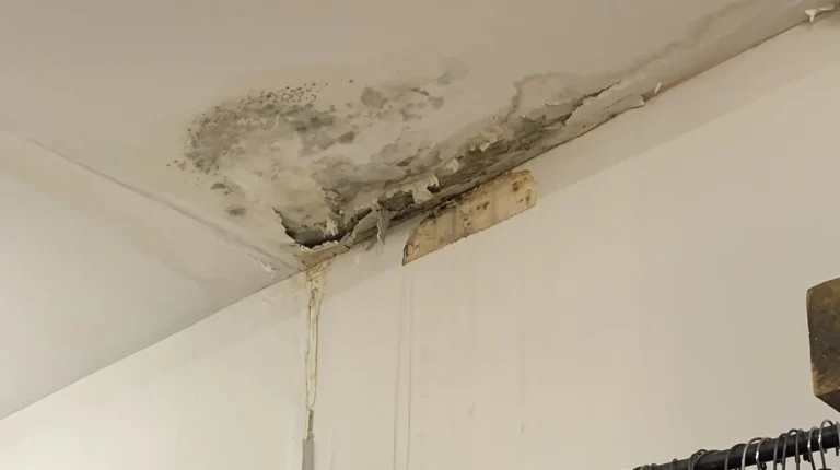 Dark mold spreading across a water-stained ceiling corner